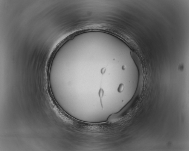 X0000116850792201001051505