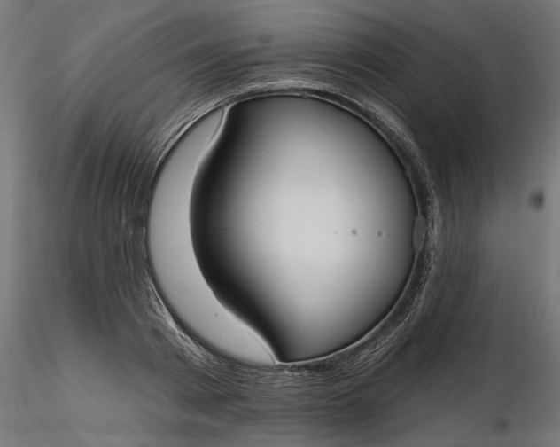 X0000116850793201001051505