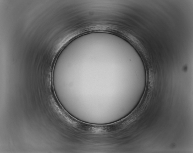 X0000116850794201001051505