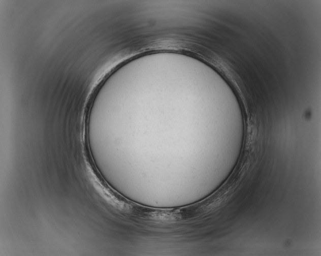 X0000116850795201001051505