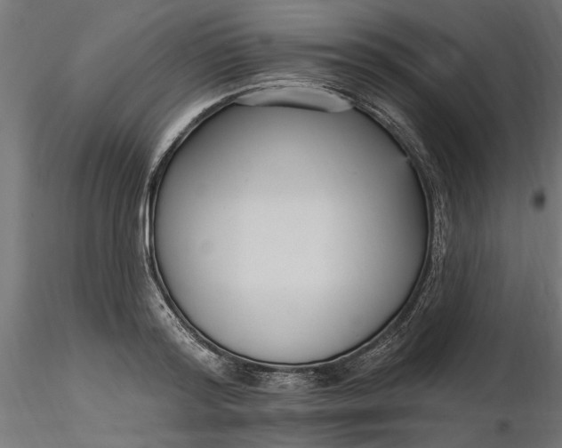 X0000116850796201001051505