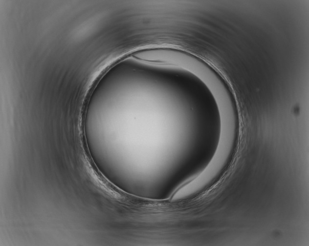 X0000116850797201001051505