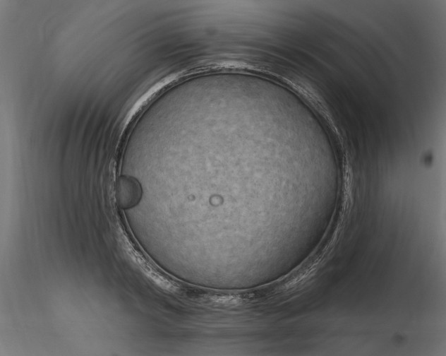 X0000116850798201001051505