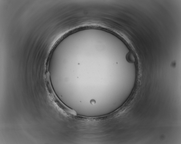 X0000116850799201001051505