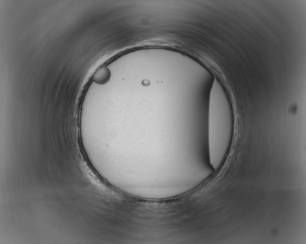 X0000116850800201001051505