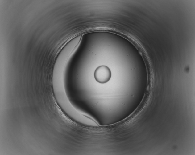 X0000116850801201001051505