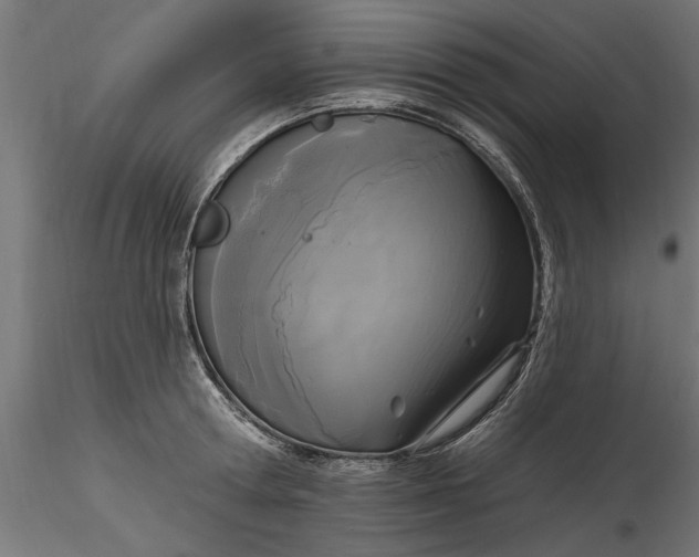 X0000116850802201001051505