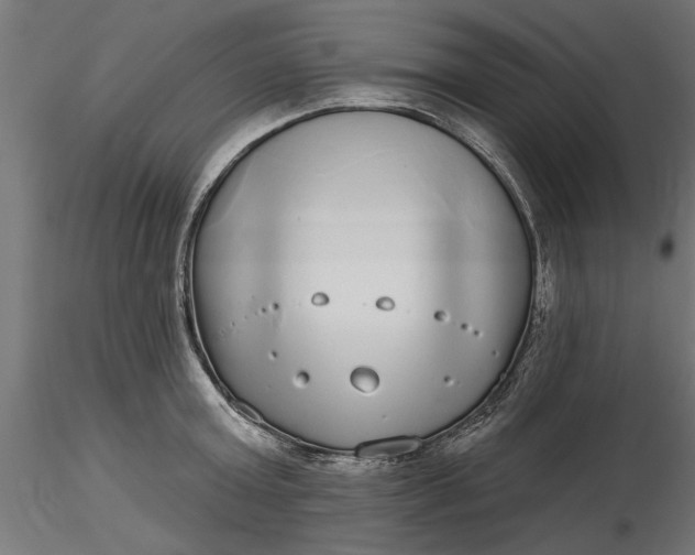 X0000116850803201001051505