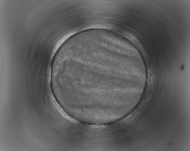 X0000116850804201001051505