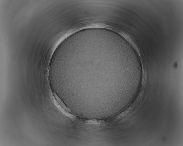 X0000116850805201001051505