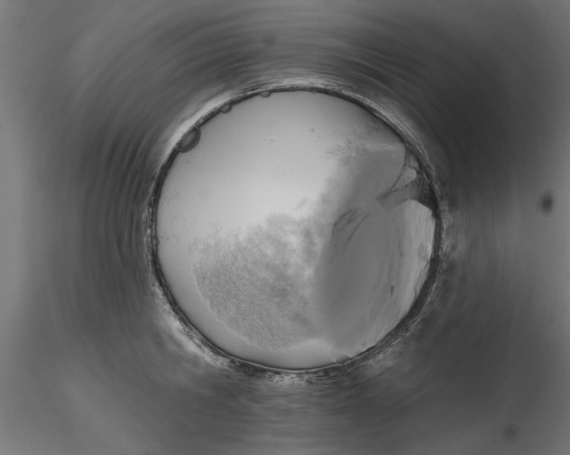 X0000116850806201001051505