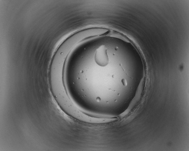 X0000116850807201001051505