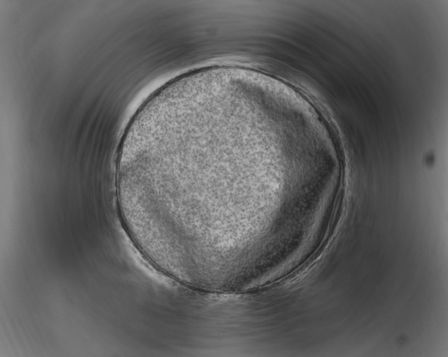 X0000116850808201001051505