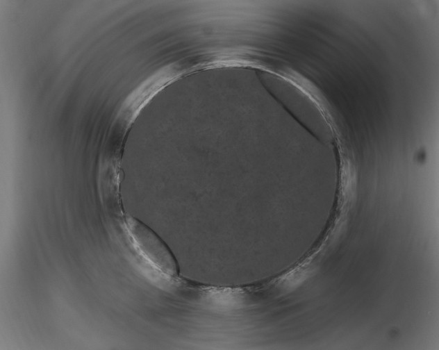 X0000116850809201001051505