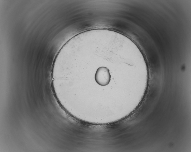 X0000116850810201001051505