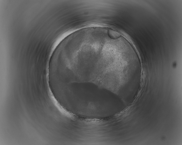 X0000116850811201001051505