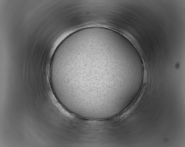 X0000116850812201001051505