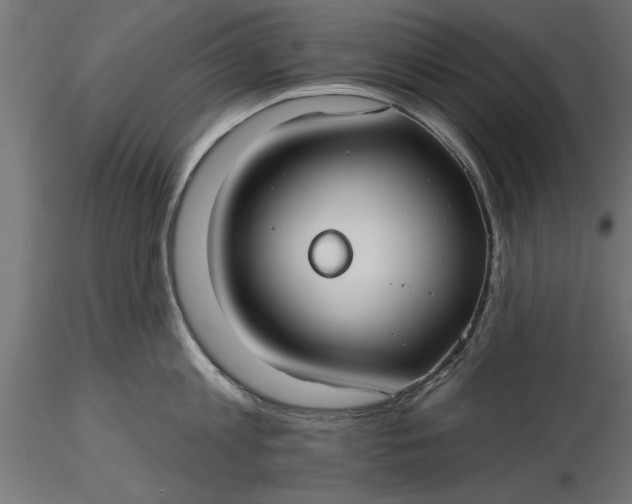 X0000116850813201001051505