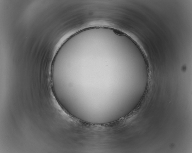 X0000116850815201001051505