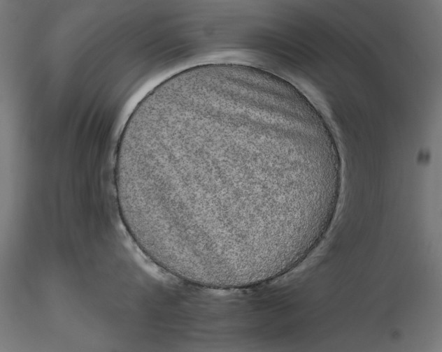 X0000116850816201001051505