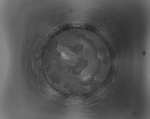 X0000116850817201001051504