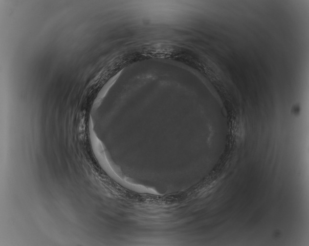 X0000116850818201001051504