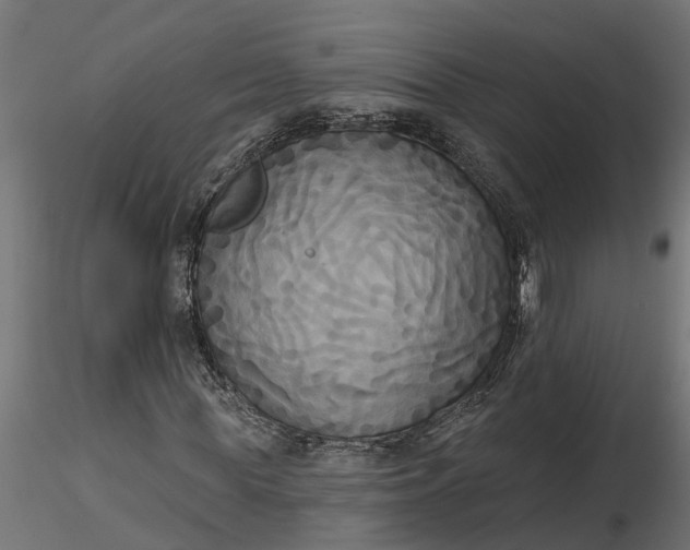 X0000116850819201001051504