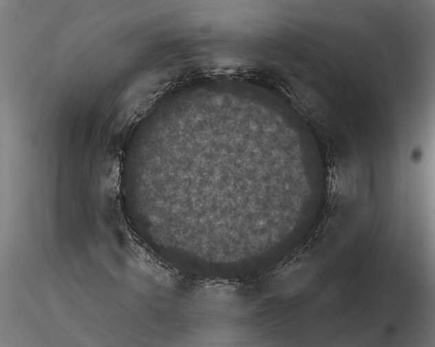 X0000116850820201001051504