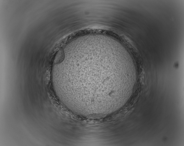 X0000116850821201001051504