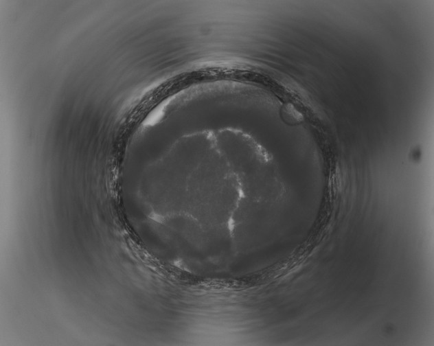 X0000116850822201001051504