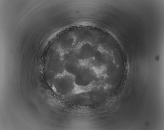 X0000116850823201001051504