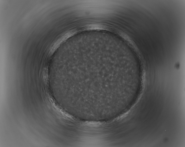 X0000116850825201001051504