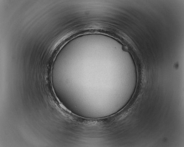 X0000116850826201001051504