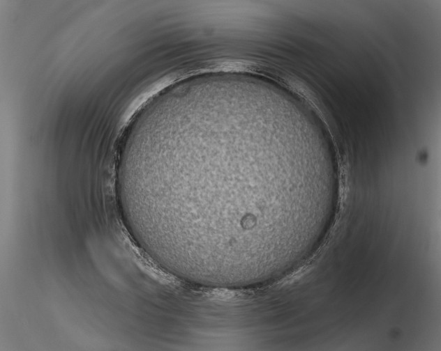 X0000116850827201001051504