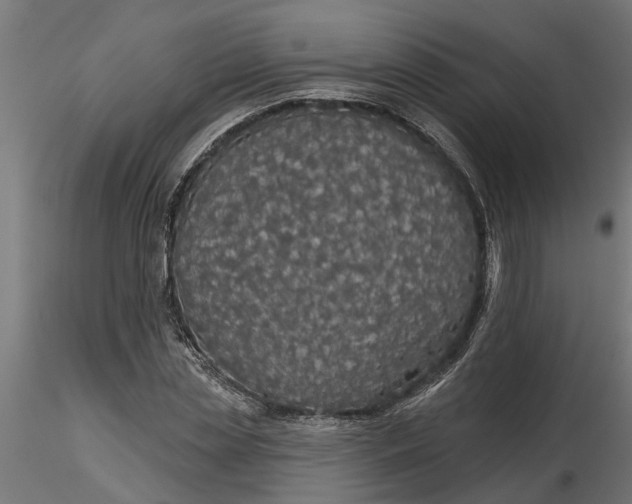 X0000116850829201001051504