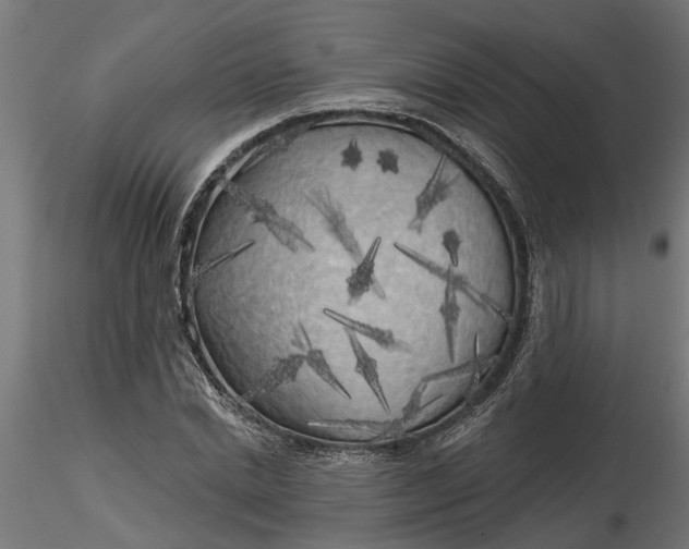 X0000116850830201001051504