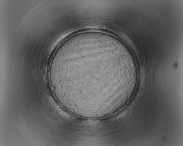 X0000116850831201001051504