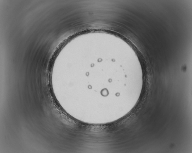 X0000116850832201001051504