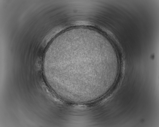 X0000116850833201001051504