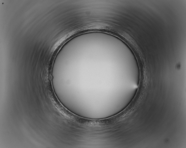 X0000116850834201001051504