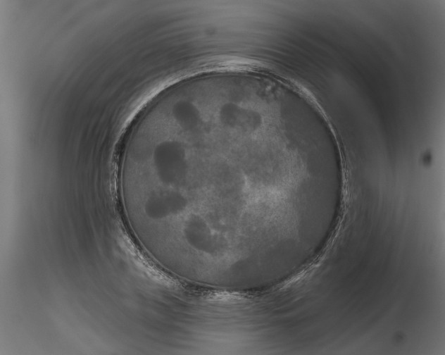 X0000116850835201001051504