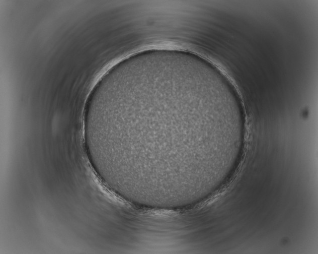 X0000116850837201001051504