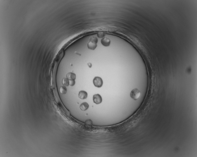 X0000116850838201001051504