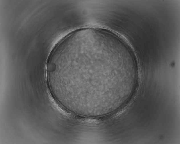 X0000116850839201001051504