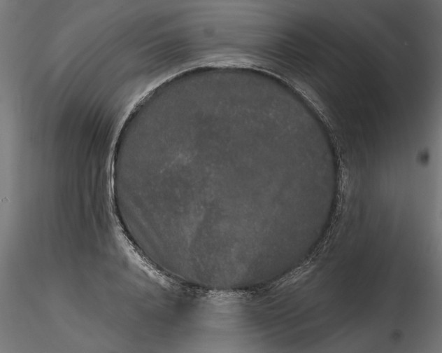 X0000116850840201001051504