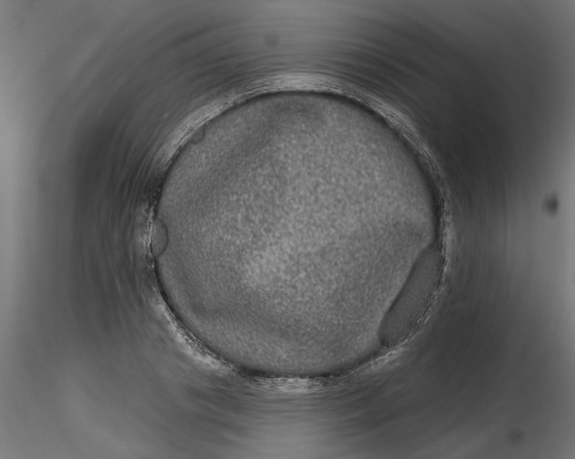 X0000116850841201001051504