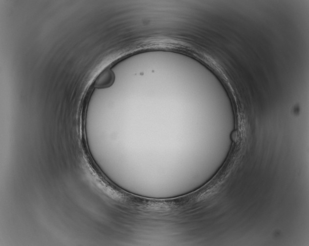 X0000116850843201001051504