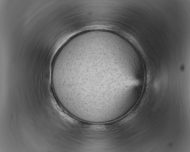 X0000116850844201001051504