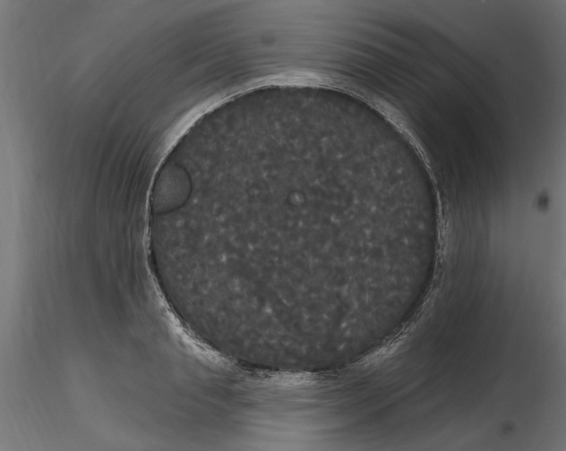 X0000116850845201001051504