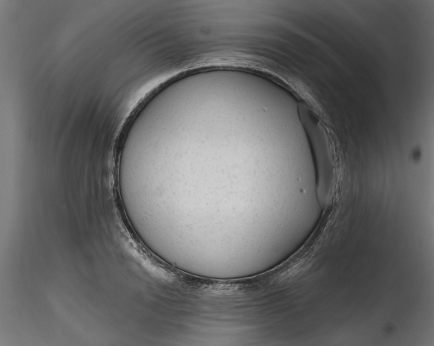 X0000116850846201001051504